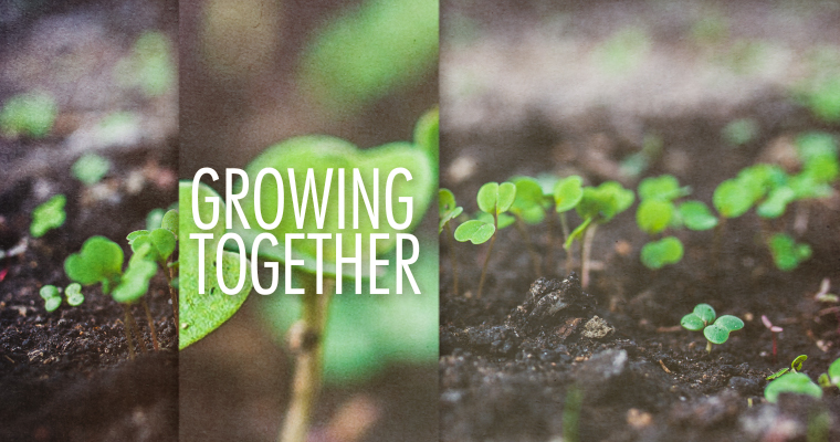 4 Ways a Team Grows Together