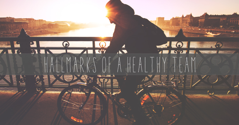 5 Hallmarks of a Healthy Team